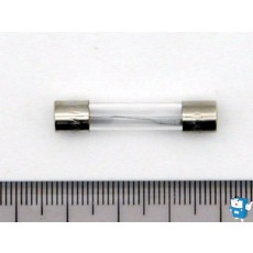 FUSE 中 (30mm) 250V 10A