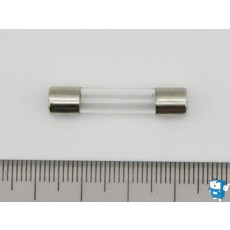 FUSE 中 (30mm) 250V 3A
