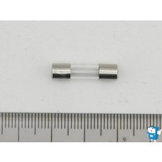 FUSE 小 250V 3A