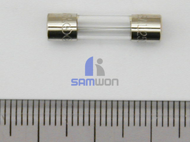 FUSE 小 250V 6.3A