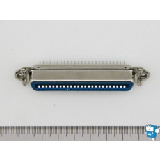 50P ♀ (57-40500)