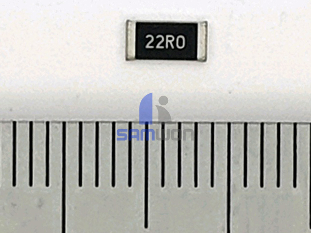 CHIP R(5025)-5% 22Ω 0.5W