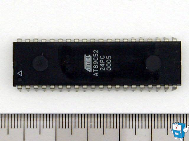 567 (AT89C52 24PC) MAIN,RELAY